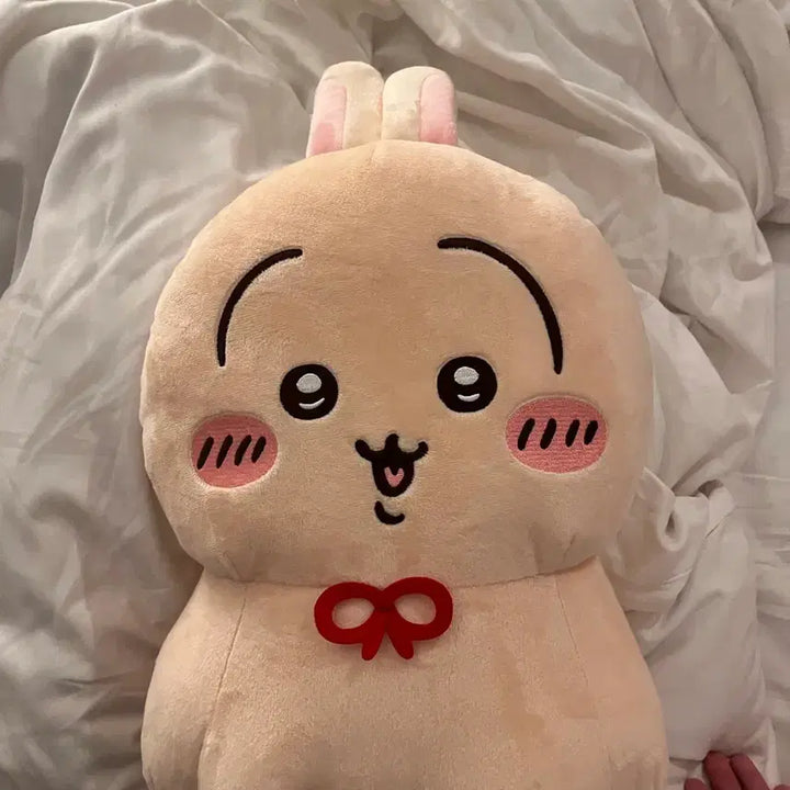 [BUNJANG] Chiikawa Usagi Raincoat Plush Limited Edition Japan Authentic / 치이카와 메지루시 우사기 일본 한정판 정품