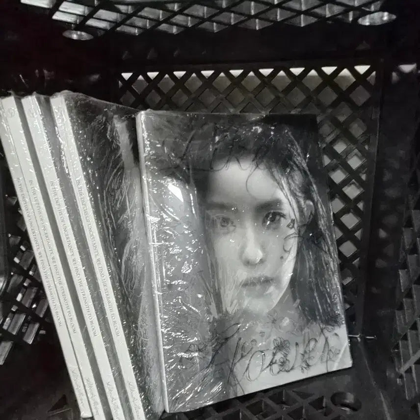 [BUNJANG] Irene Like a Flower Photobook (Sealed) / 아이린 Like a Flower 포토북 미개봉