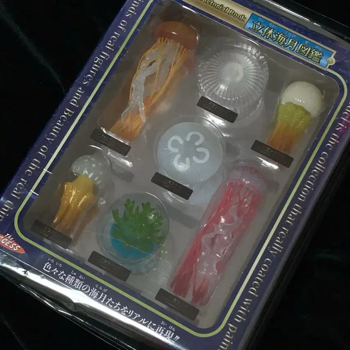 [BUNJANG] Sealed Japanese Jellyfish Figure Set / (미개봉)일본 해파리도감 피규어세트