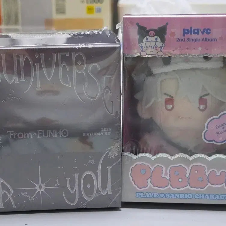 [BUNJANG] Do Eun Ho 2026 Birthday Kit (Sealed) + Idol Album Bundle / 도은호 2026 생일 키트 미개봉 + 인형앨범