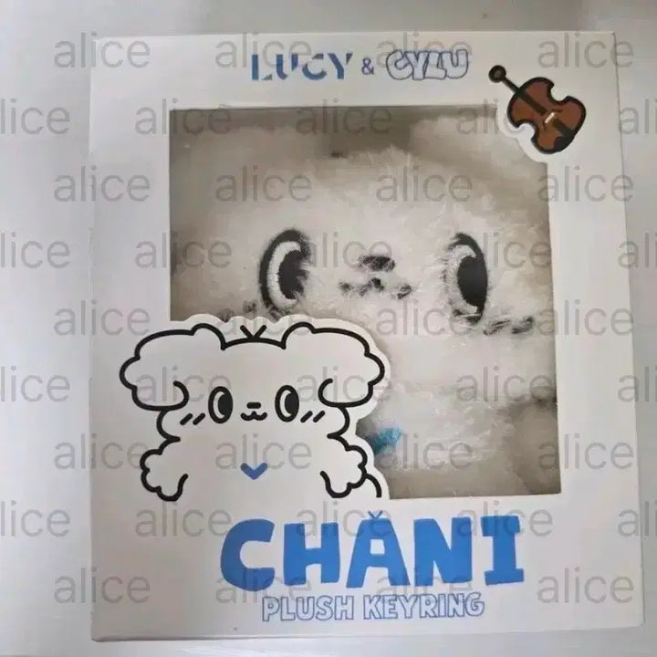 [BUNJANG] CHANI CYLU Band Lucy Doll Photocard / 포카포함)신예찬인형 CHANI 밴드루시인형굿즈 시루  LUCY CYLU