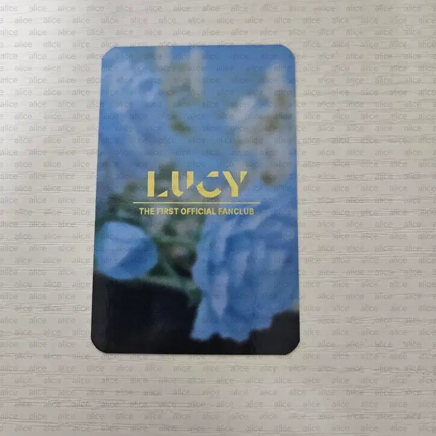 [BUNJANG] Choi Sangyeop Lucy Fanclub Photocard / 최상엽포카 왈왈이1기팬클럽포토카드lucy fanclub photocard