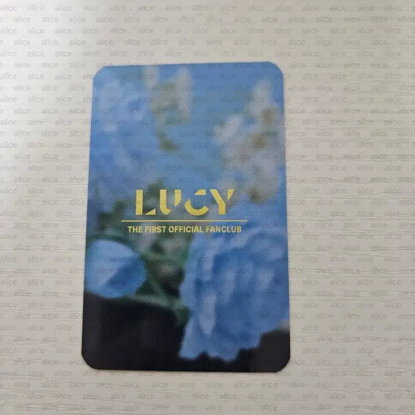 [BUNJANG] Lucy 1st Fanclub Walwal &