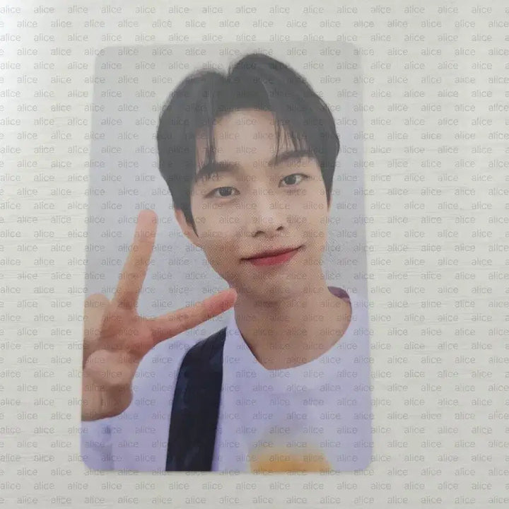 [BUNJANG] Lucy Choi Sangyeop Photocard Lucky Draw / 최상엽포카 시루5만원이상특전 밴드루시 lucy 섬콘