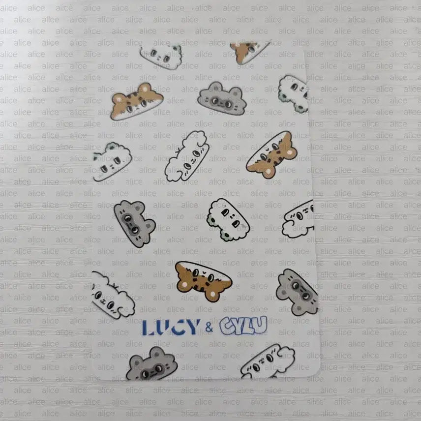 [BUNJANG] Lucy Choi Sangyeop Photocard Lucky Draw / 최상엽포카 시루5만원이상특전 밴드루시 lucy 섬콘