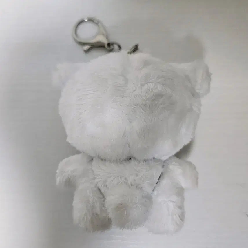 [BUNJANG] LUCY Shin Yechan "Chani Jju" Limited Edition Doll / 신예찬인형 차니쮸 밴드루시인형 LUCY SHINYECHAN 한정판