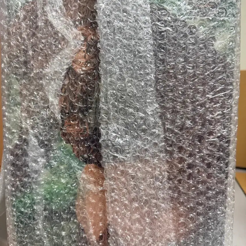 [BUNJANG] Attack on Titan Beast Titan A Figure (Sealed) / 미개봉 택포 30.5))진격의 거인 짐승거인a상