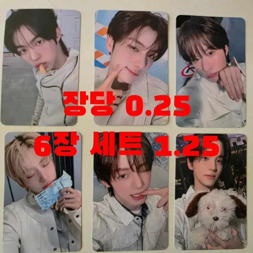 [BUNJANG] TWS NO TRAGEDY 5th Mini Album Photocard / TWS 5th Mini Album &