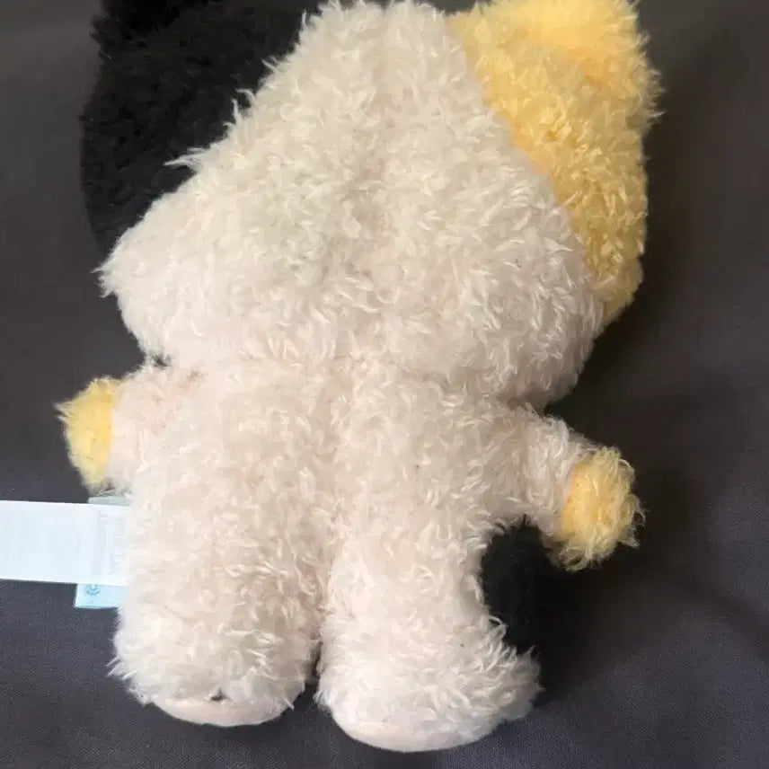 [BUNJANG] ZB1 ZB1 LINE FRIENDS RININI Plush Doll / 제베원 앤더블 리니니