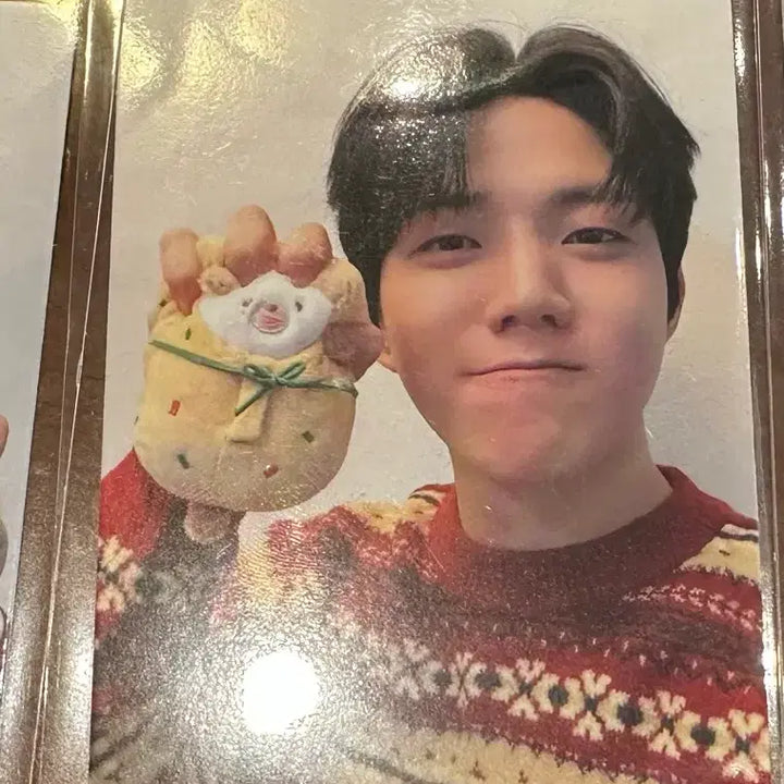 [BUNJANG] DAY6 Busan Offcial Photocard Dowoon / 데이식스 부산 오프 포카