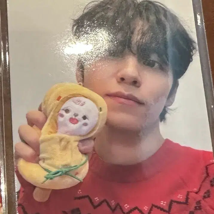 [BUNJANG] Day6 Busan Official Photocard Wonpil / 데이식스 부산 오프 포카 원필