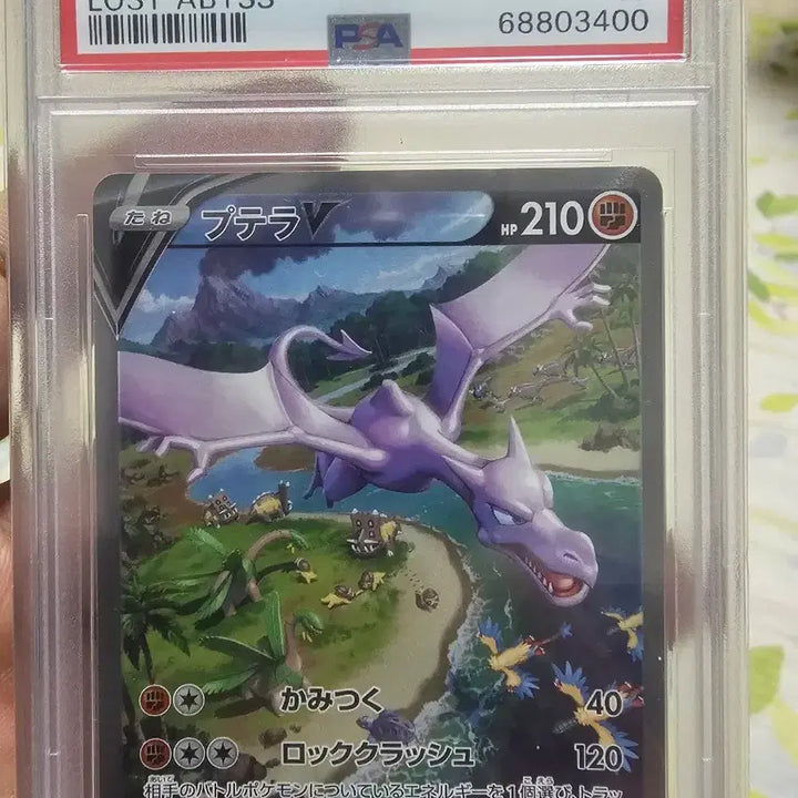 [BUNJANG] Pokemon Card PSA 10 Graded Rare Card / 일판 포켓몬카드 판매합니다. (PSA10등카)