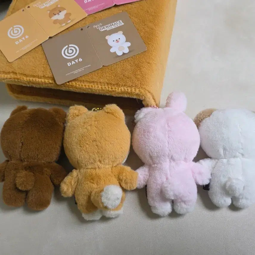 [BUNJANG] DAY6 Denimals Petitimals BangkyePildon Bundle Set / DAY6 데이식스 데니멀즈 쁘띠멀즈 방케필돈 일괄