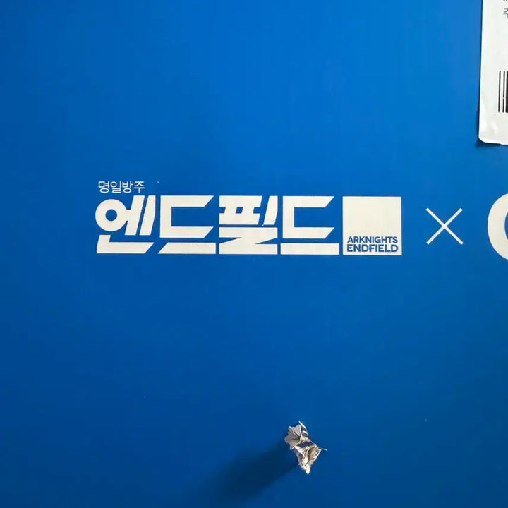 [BUNJANG] GS Endfield Jangbangyi Coin + Mood Lamp / gs 엔드필드 장방이 주화 + 무드등 팝니다!