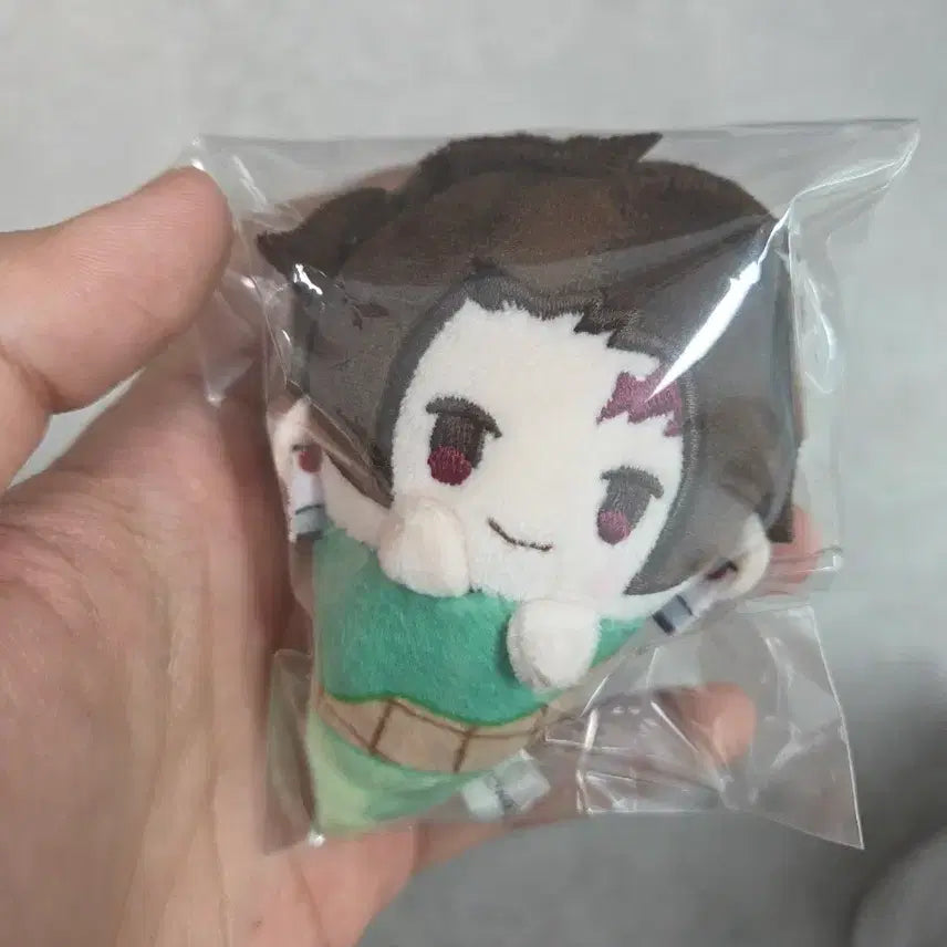 [BUNJANG] Demon Slayer Tanjiro Ice Tapinui Plush / 귀멸의 칼날 아이스 타피누이 탄지로 판매