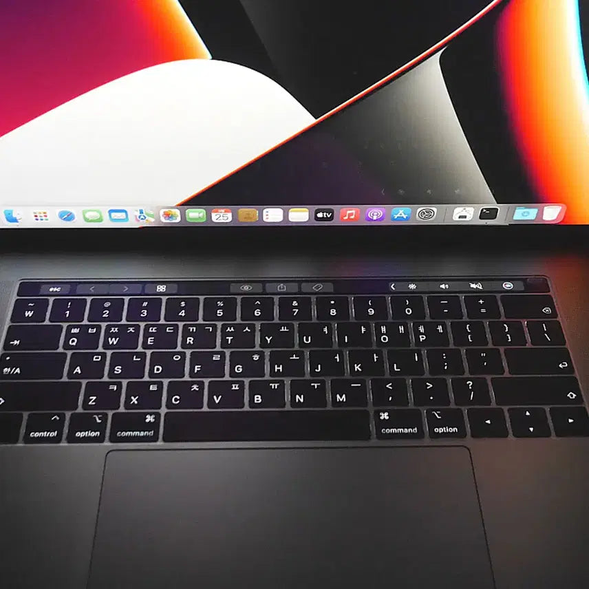 [BUNJANG] Apple MacBook Pro 15-inch (Space Gray) - i7-8750H, 16GB RAM, 512GB SSD / 애플 맥북프로A1990/16G/512G/i7-8750H/스페이스그레이