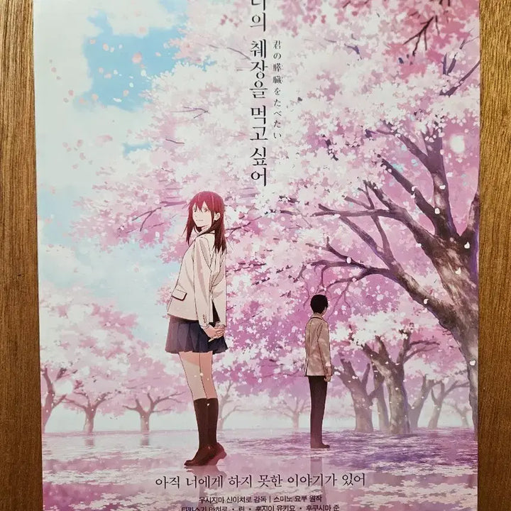 [BUNJANG] I Want to Eat Your Pancreas A4 Poster / 너의췌장을먹고싶어 A4포스터