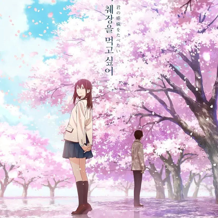 [BUNJANG] I Want to Eat Your Pancreas A4 Poster / 너의췌장을먹고싶어 A4포스터