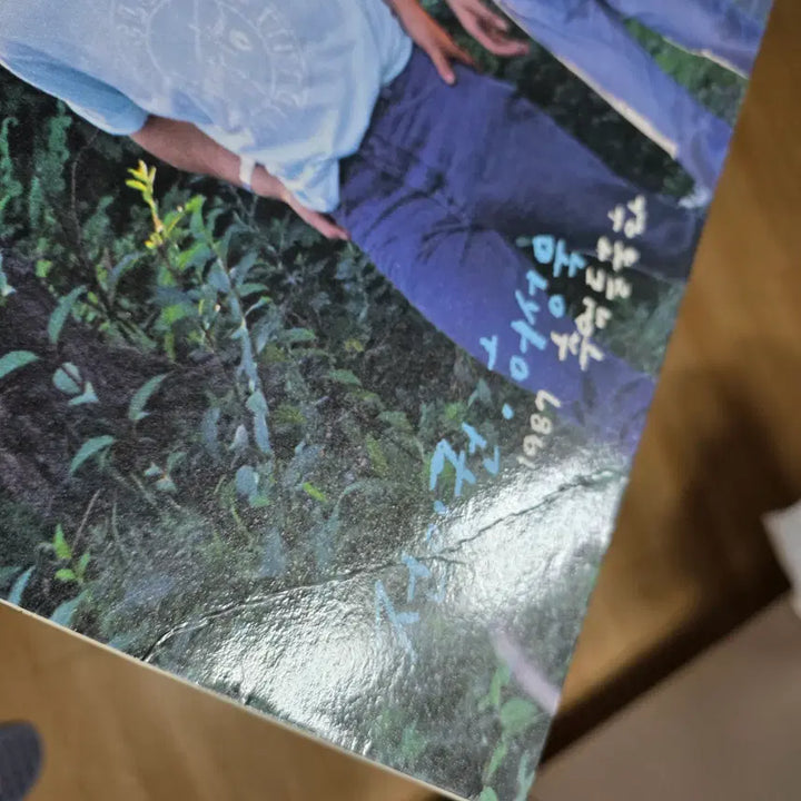 [BUNJANG] Jeon In-kwon Heo Sung-wook "Memories Chrysanthemum" LP / 전인권 허성욱 추억들국화 LP