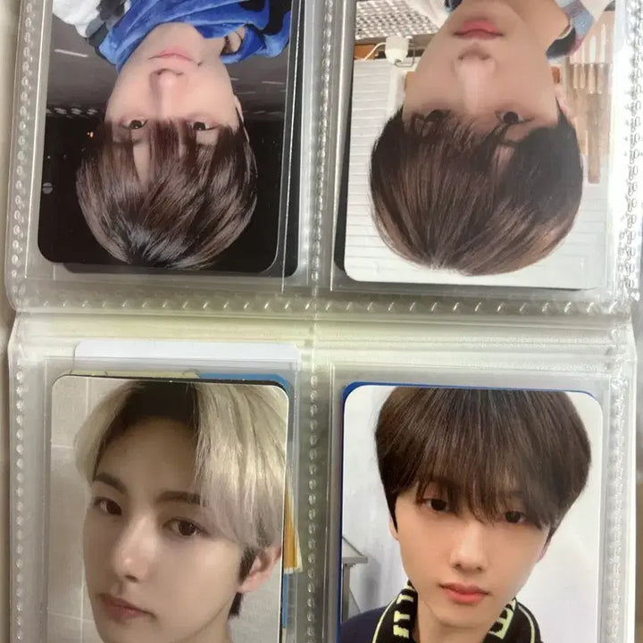 [BUNJANG] NCT Jisung Bundle Set Photocard / 엔시티 포카 판매 지성 위주
