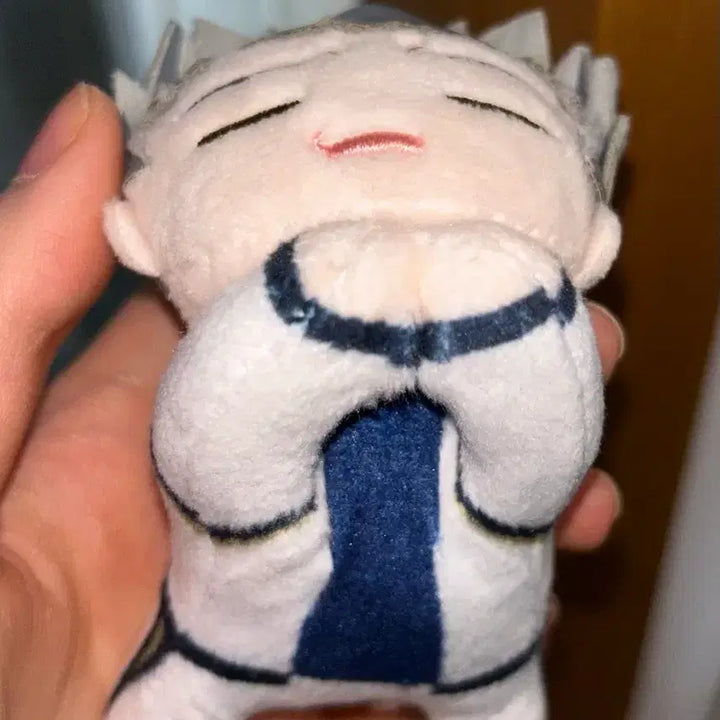 [BUNJANG] Haikyuu Bokuto Plush Doll / 하이큐 보쿠토 누이 판매