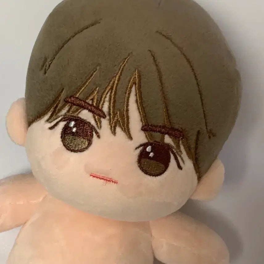 [BUNJANG] TXT Beomgyu 20cm Doll / txt 투바투 범규 20cm 솜인형