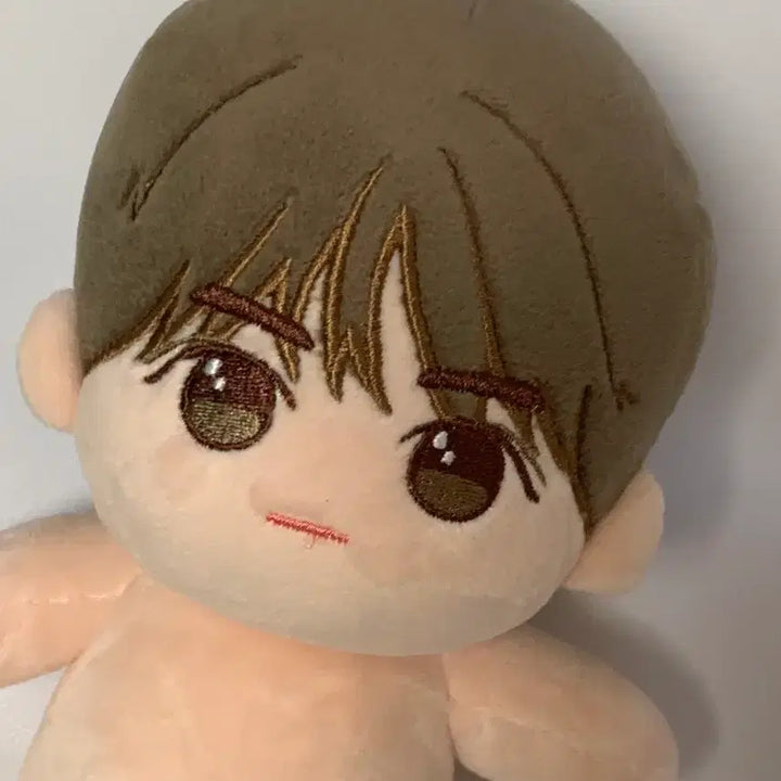 [BUNJANG] TXT Beomgyu 20cm Doll / txt 투바투 범규 20cm 솜인형