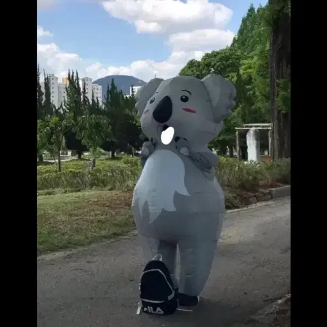 [BUNJANG] Koala Air Suit Costume Rental / 동물 에어슈트