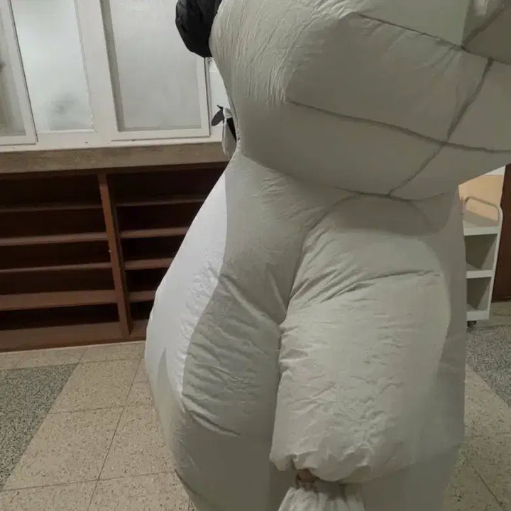 [BUNJANG] Koala Air Suit Costume Rental / 동물 에어슈트