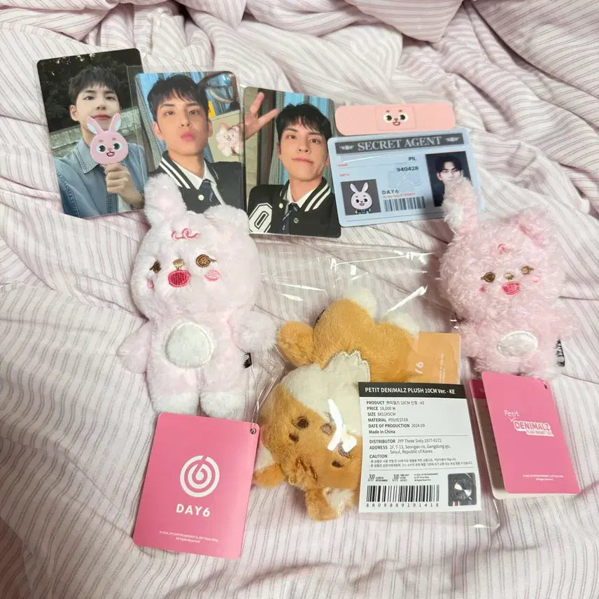 [BUNJANG] DAY6 DAY6imals Petite Animals Cape Pilkki K-POP Photocard / (포카포함)24 데이식스 데니멀즈 쁘띠멀즈 케이프 필끼 케 원필 포카 앙