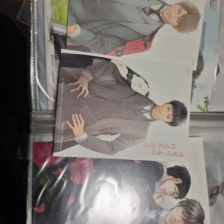 [BUNJANG] Shoko Hidaka Postcard Set (4 Types) &amp; Clear File / 히다카 쇼코 엽서4종, 클리어화일 일괄