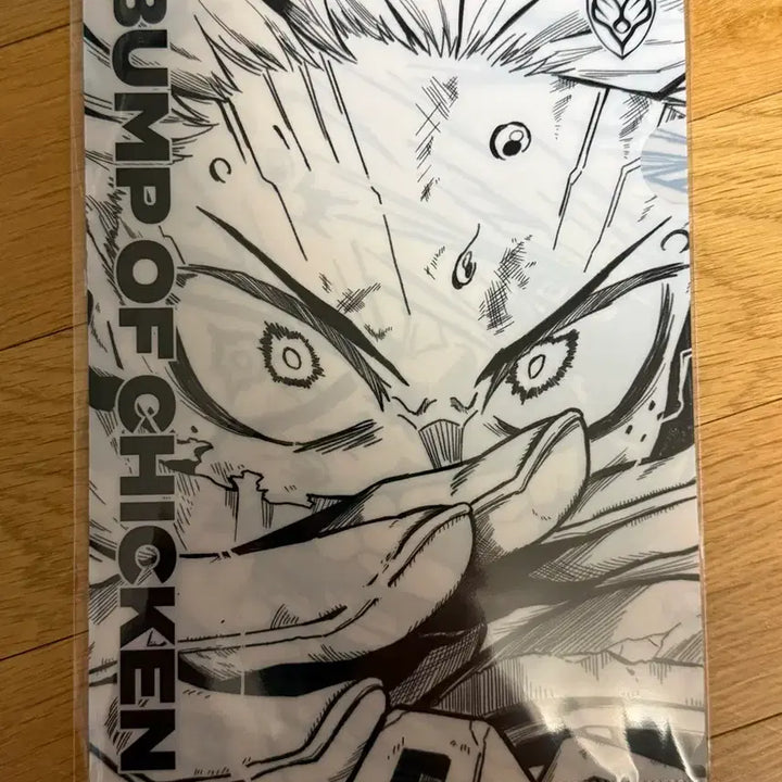 [BUNJANG] BUMP OF CHICKEN My Hero Academia Clear File / BUMP OF CHICKEN 클리어 파일 나히아 특전