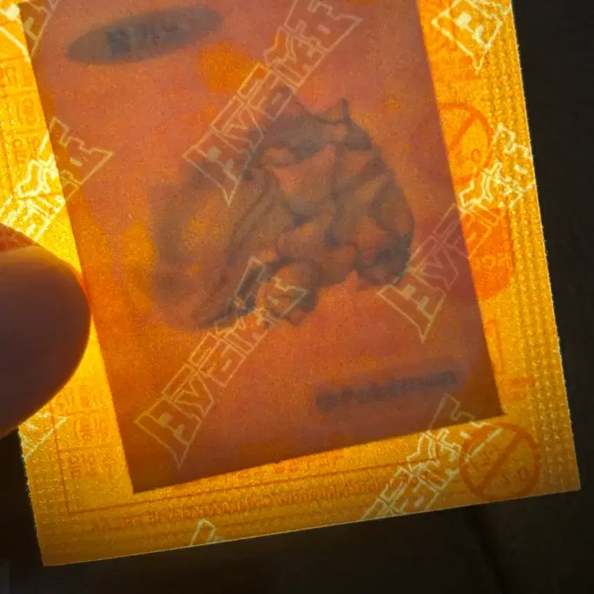 [BUNJANG] Pokemon Artwork Squirtle Sticker / 포켓몬 아트워크 뿔카노 띠부씰 판매