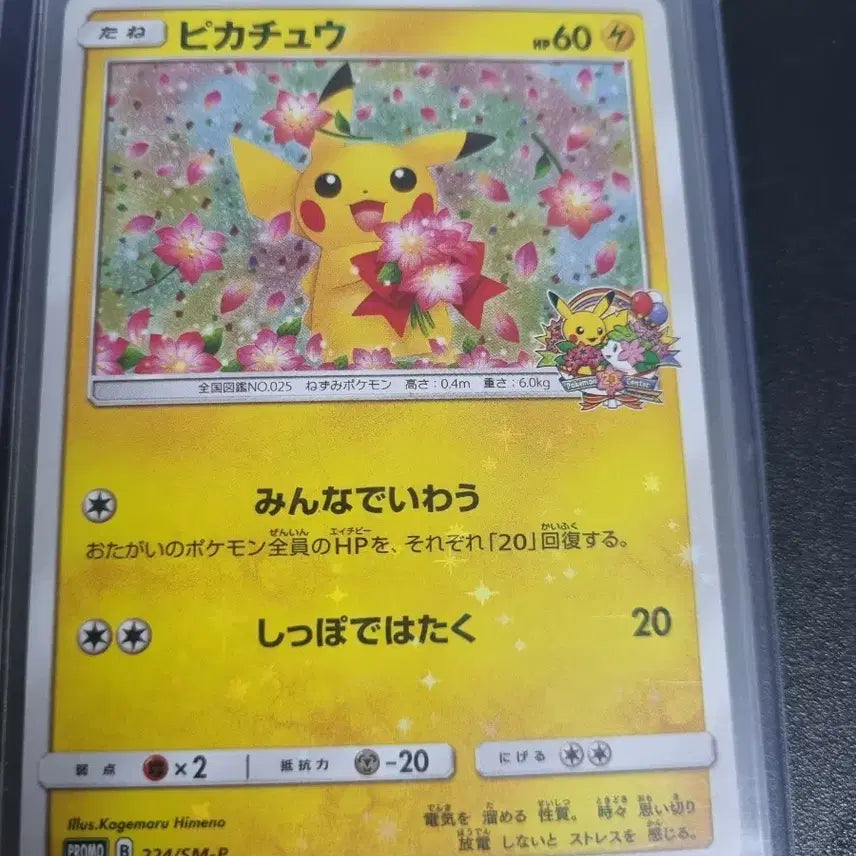 [BUNJANG] Pokemon Card Flower Pikachu 224/SM-P Promo / 포켓몬 카드 꽃피카츄 224/SM-P 프로모