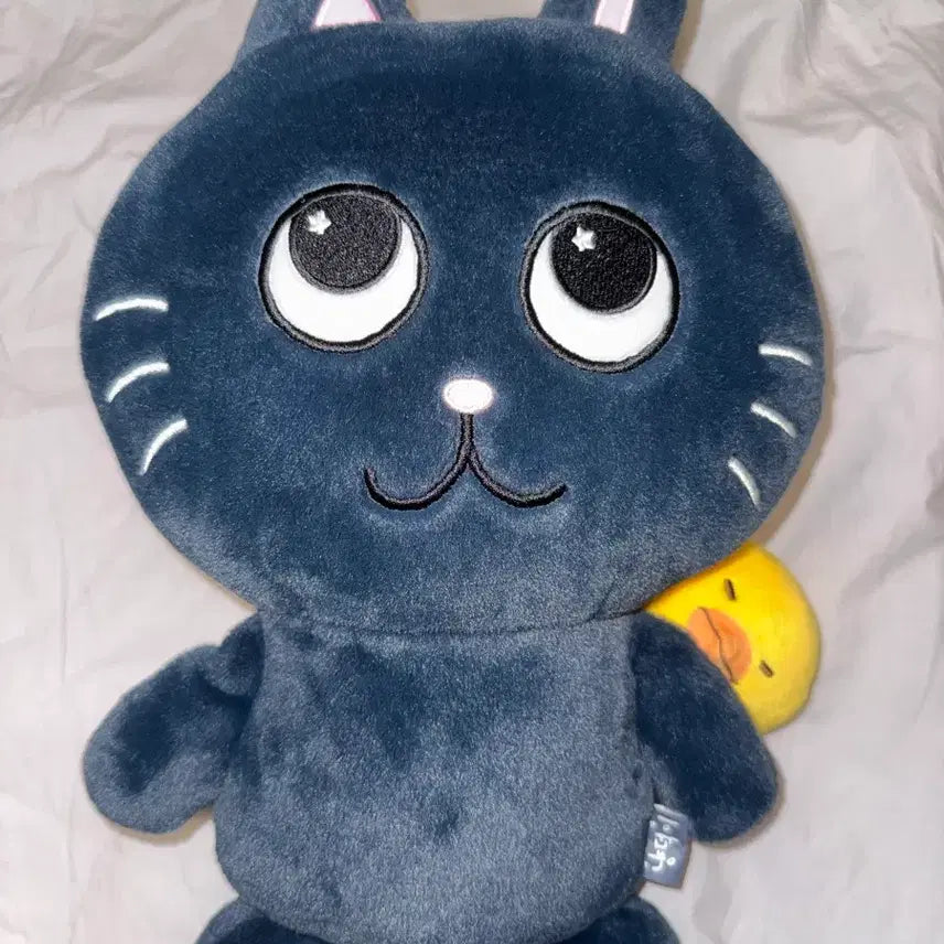 [BUNJANG] Toy Cat 40cm Plush / 토냥덕 40cm