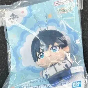 [BUNJANG] Blue Lock Ichiban Kuji D Prize Yoichi Isagi Plush &amp; E Prize Door Plate Set (2 Types) / 블루록 이치방쿠지 D상 누이 이사기 요이치 E상 도어 플레이트 전2종