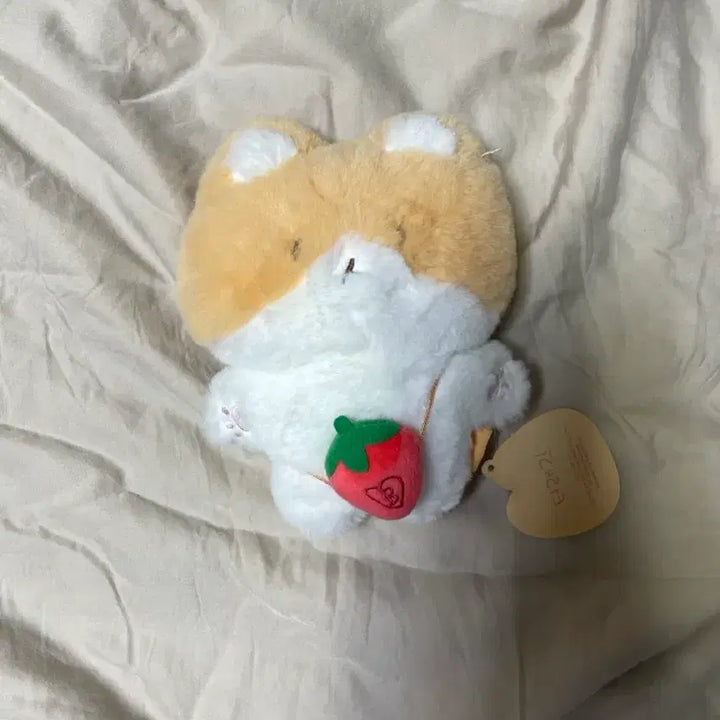 [BUNJANG] Plush Doll / 터래기 인형