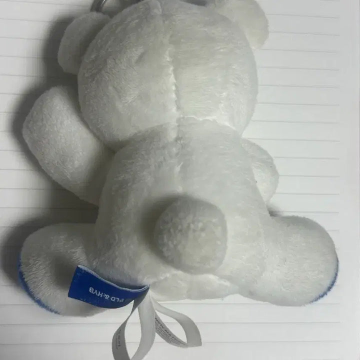[BUNJANG] TWS 2Tuckgom Bear Idol Photocard Bundle POB / 투곰이 투어스 인형 포카 처분 일괄 미공포 포토카드 앨범