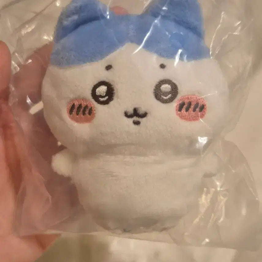 [BUNJANG] Chiikawa Hachiwara Kurimanju Osuwari Mini Plush / 신상 가챠 앉은 치이카와 하치와레 쿠리만주 누이구루미 오스와리 미니 마코