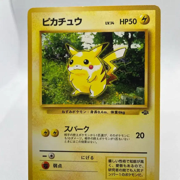 [BUNJANG] Pokemon Card 1997 Pikachu Jungle 1st Edition Japanese (Album Version) / 포켓몬카드 1997 피카츄 일판 정글 초판카드(앨범용)