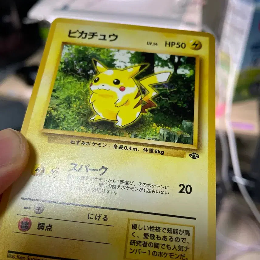 [BUNJANG] Pokemon Card 1997 Pikachu Jungle 1st Edition Japanese (Album Version) / 포켓몬카드 1997 피카츄 일판 정글 초판카드(앨범용)
