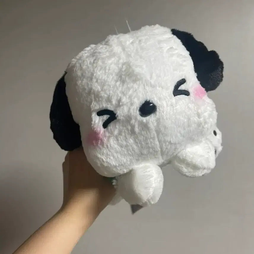 [BUNJANG] Sanrio Pochacco Plush Doll / 산리오 포차코 인형