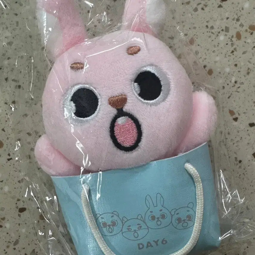 [BUNJANG] DAY6 Japan MD PilKki Plush / 데이식스 일본엠디 필끼