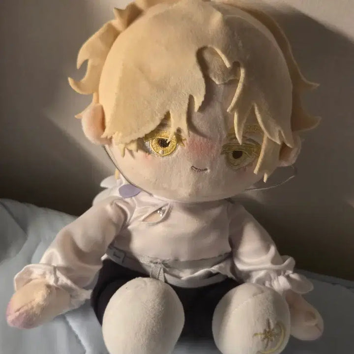 [BUNJANG] A-Stage Luca Plush Doll / 에이스테 루카 인형