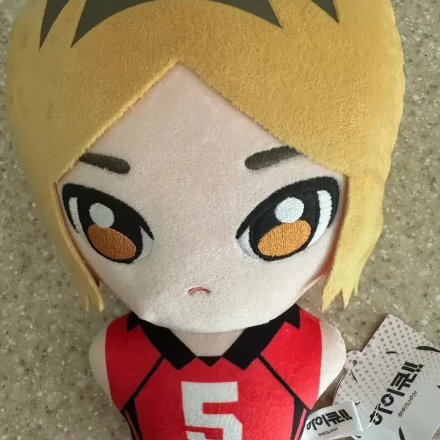 [BUNJANG] Haikyuu!! Kozume Kenma Plush Doll (27cm) / [새상품] 하이큐 코즈메 켄마 인형(27cm)