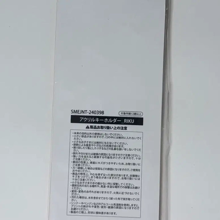 [BUNJANG] NCT WISH Riku Japan Tour MD Wing Keychain (Sealed) / 미개봉 엔시티 위시 리쿠 로그인 일본 투어 엠디 날개 키링