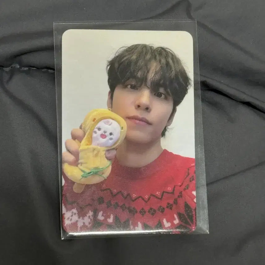 [BUNJANG] Day6 Busan Concert MD Wonpil Photocard / 데이식스 부산 콘서트 MD 오프라인 4만원 포카 원필