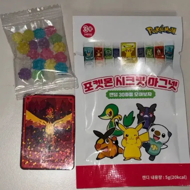 [BUNJANG] Pokemon Secret Magnet Fire / 포켓몬 시크릿 마그넷 파이어