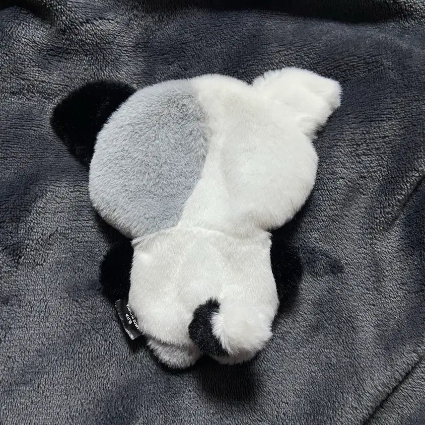 [BUNJANG] Xdinary Heroes Jungsu Xmonz 10cm Plush Costume / 엑스디너리 히어로즈 정수 엑몬즈 냥듀 10cm 인형 옷 플러시 코스튬