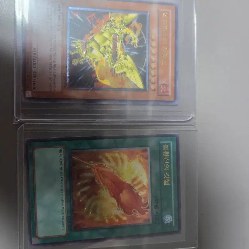 [BUNJANG] Yu-Gi-Oh! Moonlit Sorceress / 유희왕 달의 여전사 판매